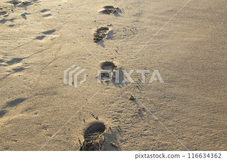 Footprints in the sand on the beach against background. 116634362