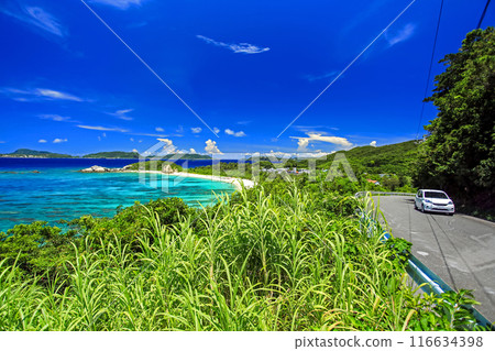 夏日沖繩渡嘉敷島自駕遊 116634398