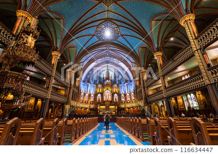 Interior of Notre-Dame Basilica (Basilique Notre-Dame de Montreal). A minor basilica of the Catholic Church in the historic Old Montreal district. Quebec, Canada. 116634447