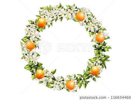 Orange circle Orange circle 116634460