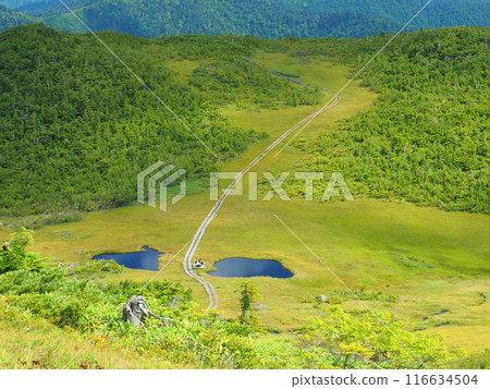 Kumazawa Tashiro of Oze and Hiuchigatake 116634504