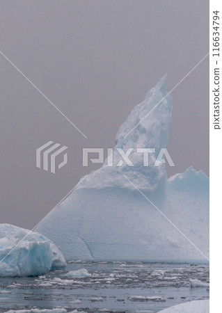 Icebergs and Snow in Antarctica 116634794