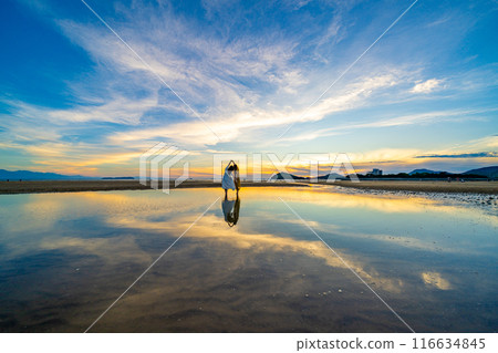 Sunset on Mother Beach 116634845