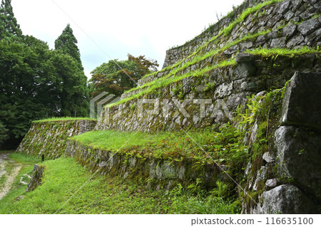 Iwamura castle Iwamura castle 116635100