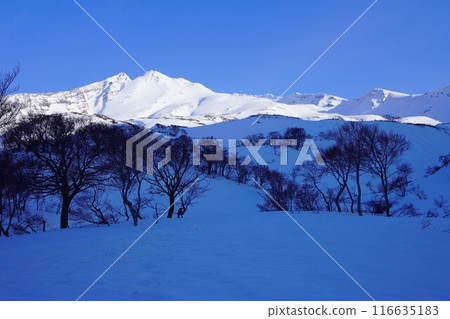 冬天從雪原上看到的鳥海山和小間山 116635183