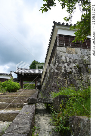 Iwamura castle 116635271