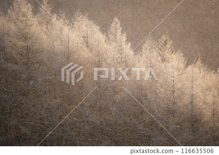Kirigamine in winter 116635506