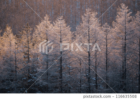 Kirigamine in winter Kirigamine in winter 116635508