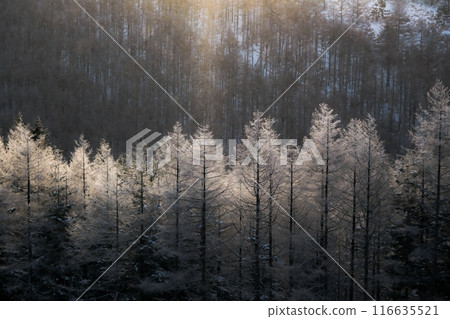 Kirigamine in winter Kirigamine in winter 116635521