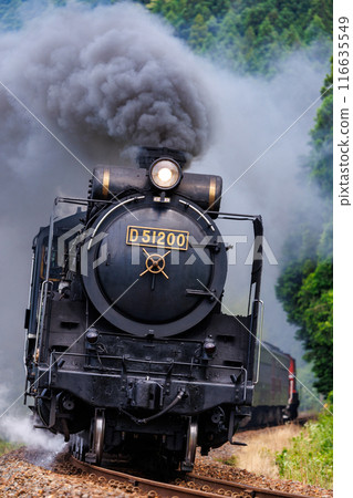 A dynamic scene of the Degoichi (D51 steam locomotive) 116635549