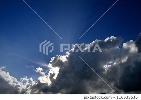 Sunlight shining through the clouds Sunlight shining through the clouds 116635630