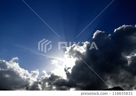Sunlight shining through the clouds Sunlight shining through the clouds 116635631