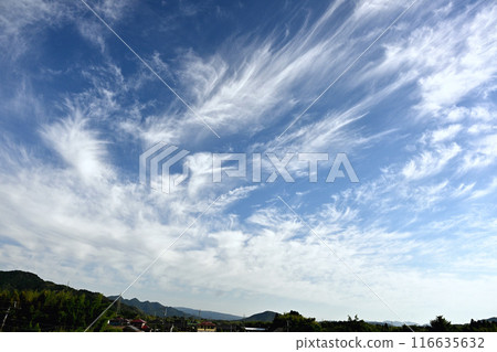 White clouds floating in the blue sky White clouds floating in the blue sky 116635632