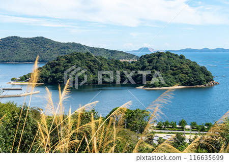 Early autumn in Sakae Ikushima scenery 2 Ako City, Hyogo Prefecture 116635699