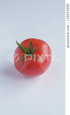 蕃茄 蕃茄 116635889