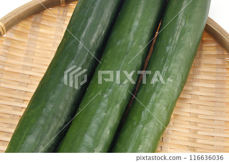 Fresh cucumbers in a colander Fresh cucumbers in a colander 116636036