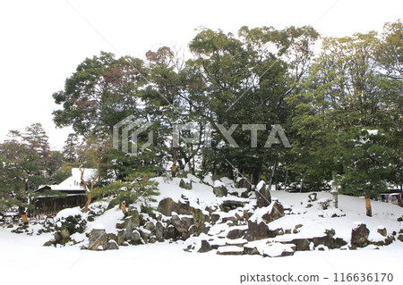 滋賀縣彥根市的“樂樂園雪景” 滋賀縣彥根市的“樂樂園雪景” 116636170