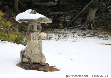 "Snowy landscape at Rakurakuen Garden" in Hikone City, Shiga Prefecture "Snowy landscape at Rakurakuen Garden" in Hikone City, Shiga Prefecture 116636171
