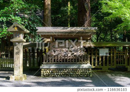 境內風景 天輪戶神社 最適合遊覽「神話」聖地和能量點的天輪戶神社（高千穗町） 116636183