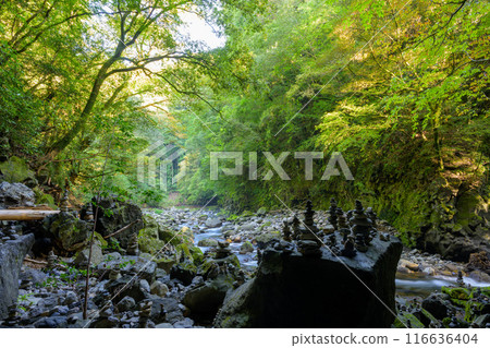 天輪神社 西本宮神社參道 天輪戶神社（高千穗町）在神話聖地與能量景點之旅中脫穎而出 116636404