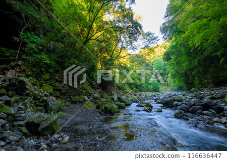 天輪神社 西本神社週邊的風景 在「神話」聖地與能量景點之旅中脫穎而出的天輪神社（高千穗町） 116636447