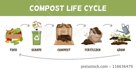 Compost raw materials life circle. Recycling organic waste, fertilizers for garden plants, collect kitchen scraps, vegetables peelings cartoon flat isolated tidy vector infographic poster 116636479