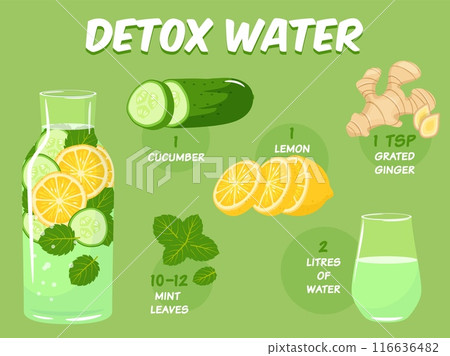 Detox water elements. Antioxidant cleansing drink recipe, natural ingredients, lemon, cucumber, ginger and mint, glass bottle, infographic poster, banner design, vector cartoon flat concept 116636482