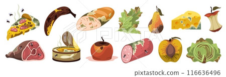 Spoiled products. Expired food, rotting semi finished meal, moldy smell fruits and vegetables, natural fermentation process. Organic recyclable garbage, cartoon flat isolated tidy vector set 116636496
