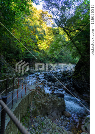 天輪神社 西本宮神社參道 天輪戶神社(高千穗町)在神話聖地與能量景點之旅中脫穎而出 天輪神社 西本宮神社參道 天輪戶神社(高千穗町)在神話聖地與能量景點之旅中脫穎而出 116636513