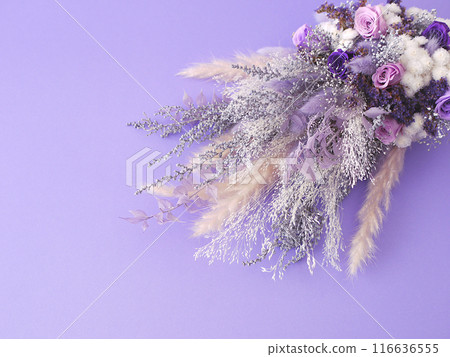 紫色的花束 116636555