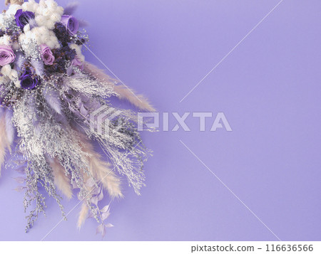 紫色的花束 116636566