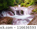 Porcupine hidden waterfall 116636593