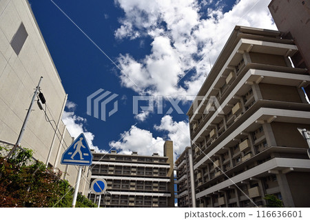 Summer blue sky and white clouds Summer blue sky and white clouds 116636601
