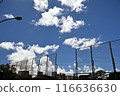 Summer blue sky and white clouds 116636630