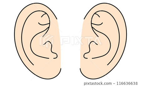 Simple left and right ear color illustration Simple left and right ear color illustration 116636638