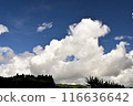 Summer blue sky and white clouds 116636642