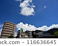 Summer blue sky and white clouds 116636645