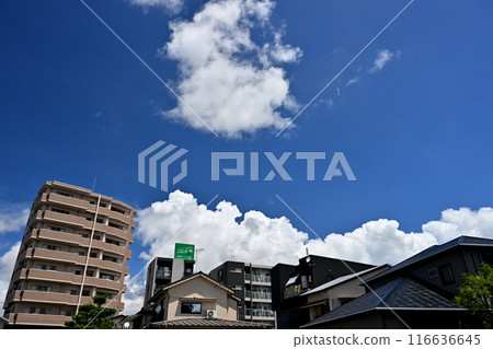 Summer blue sky and white clouds Summer blue sky and white clouds 116636645