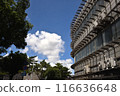 Summer blue sky and white clouds 116636648