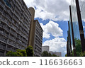 Summer blue sky and white clouds 116636663
