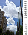 Summer blue sky and white clouds 116636665