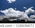 Summer blue sky and white clouds 116636671