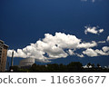 Summer blue sky and white clouds 116636677