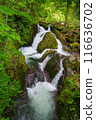 Yachiho Highland Nature Park 116636702