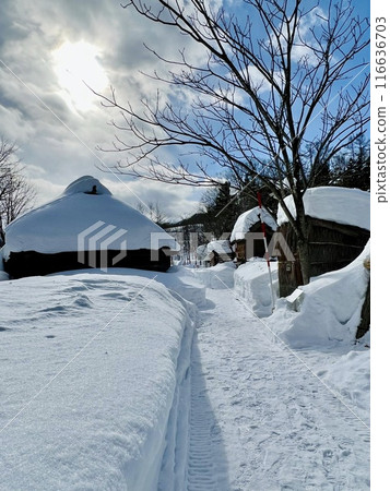 冰雪札幌阿伊努文化交流中心 冰雪札幌阿伊努文化交流中心 116636703