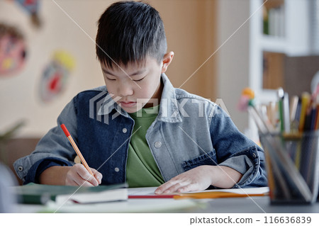 Medium close up shot of young focused Asian schoolboy engaged in writing task sitting at desk in classroom Medium close up shot of young focused Asian schoolboy engaged in writing task sitting at desk in classroom 116636839