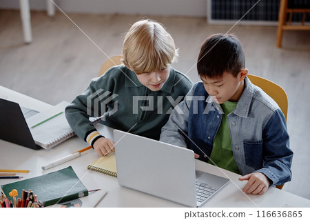 Two young multiethnic male students pairing up while studying on laptop during collaborative task at school 116636865