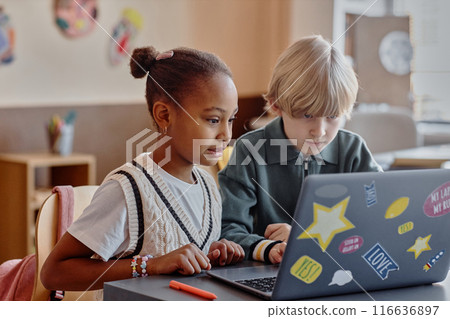Two focused primary school children of diverse ethnic backgrounds using in-class laptop together utilizing online learning tools sitting at table 116636897