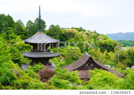 Jorakuji Temple / The cypress bark roof of the main hall and the three-story pagoda (Konan City, Shiga Prefecture) Jorakuji Temple / The cypress bark roof of the main hall and the three-story pagoda (Konan City, Shiga Prefecture) 116636925