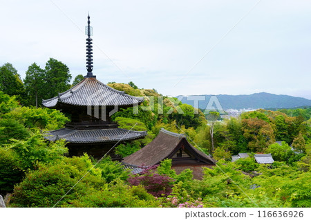 常樂寺/本堂的柏樹皮屋頂和三層寶塔（滋賀縣港南市） 116636926